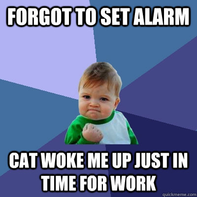 Forgot to set Alarm Cat woke me up just in time for work - Forgot to set Alarm Cat woke me up just in time for work  Success Kid