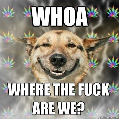 Whoa where the fuck are we?  Stoner Dog