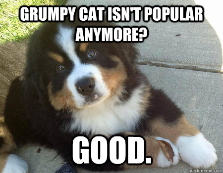 grumpy cat isn't popular anymore? Good. - grumpy cat isn't popular anymore? Good.  Grumpy Dog