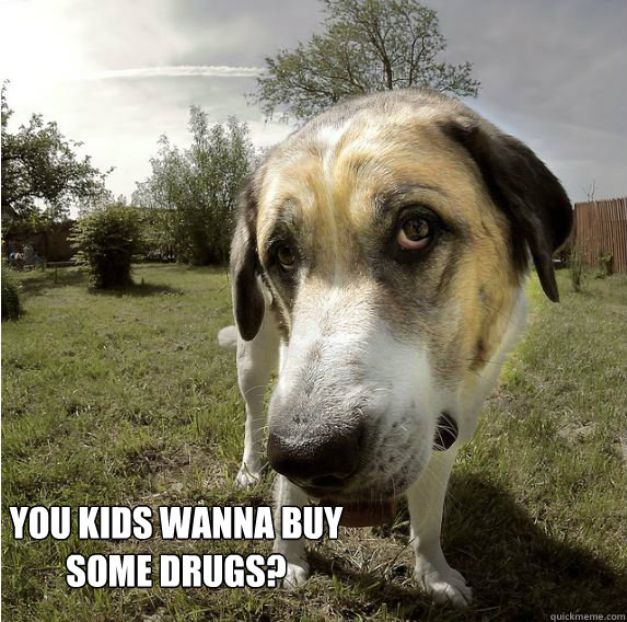 you kids wanna buy some drugs?  drug dog