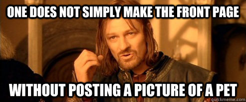 One does not simply make the front page without posting a picture of a pet  One Does Not Simply