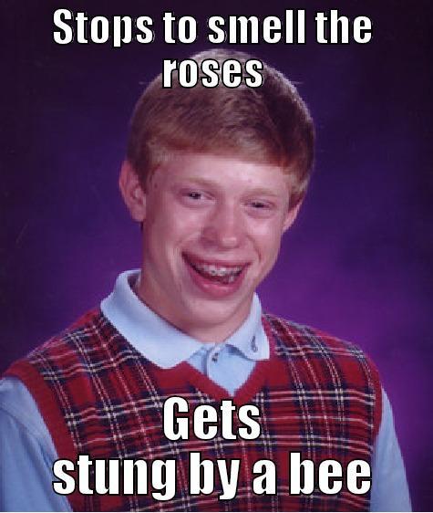 STOPS TO SMELL THE ROSES GETS STUNG BY A BEE Bad Luck Brian