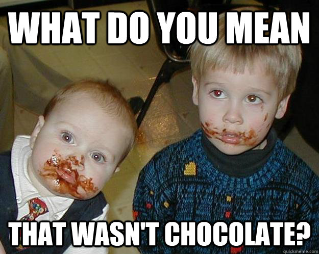 What do you mean That wasn't chocolate? - What do you mean That wasn't chocolate?  Oh fudge