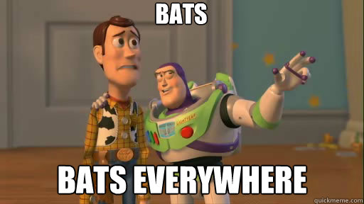 Bats Bats everywhere  Everywhere