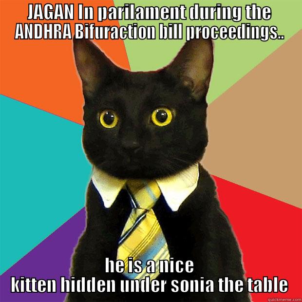 JAGAN IN PARILAMENT DURING THE ANDHRA BIFURACTION BILL PROCEEDINGS.. HE IS A NICE KITTEN HIDDEN UNDER SONIA THE TABLE Business Cat