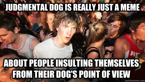 judgmental dog is really just a meme  about people insulting themselves from their dog's point of view  Sudden Clarity Clarence