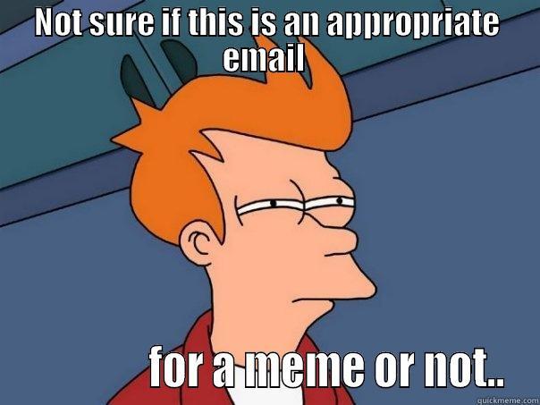 NOT SURE IF THIS IS AN APPROPRIATE EMAIL                 FOR A MEME OR NOT.. Futurama Fry
