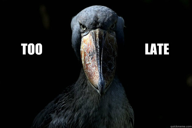 Too Late - Too Late  Misc