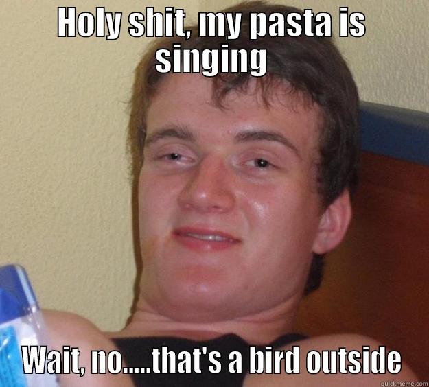 HOLY SHIT, MY PASTA IS SINGING WAIT, NO.....THAT'S A BIRD OUTSIDE 10 Guy