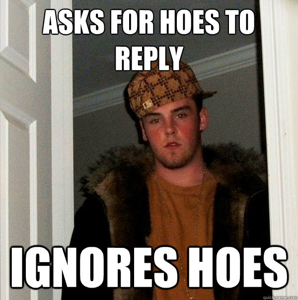 Asks for Hoes to reply ignores hoes  Scumbag Steve