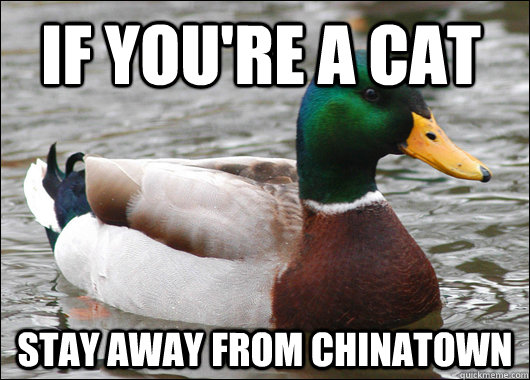 If you're a cat Stay away from chinatown  Actual Advice Mallard