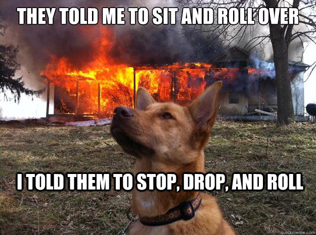 They told me to sit and roll over I told them to stop, drop, and roll  Bad Dog