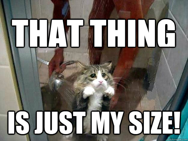 that thing is just my size!  Shower kitty
