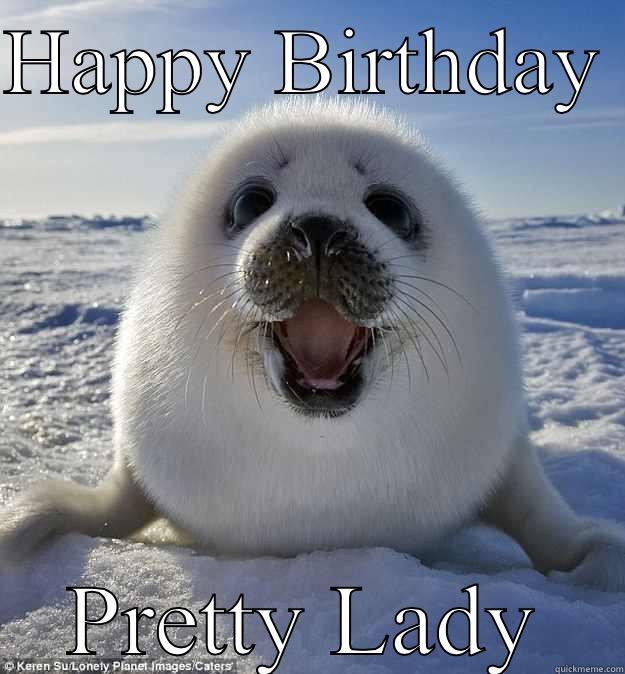 Happy harp seal - HAPPY BIRTHDAY  PRETTY LADY Easily Pleased Seal