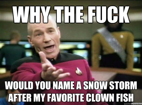 Why the fuck would you name a snow storm after my favorite clown fish  Annoyed Picard HD