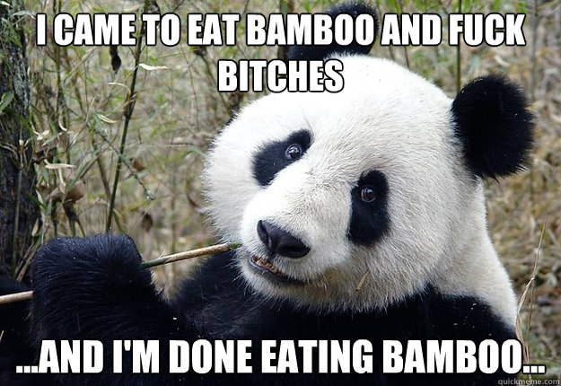 I came to eat bamboo and fuck bitches ...And I'm done eating bamboo... - I came to eat bamboo and fuck bitches ...And I'm done eating bamboo...  panda