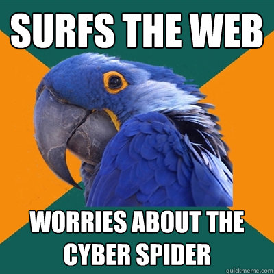 Surfs The Web Worries about the Cyber Spider  Paranoid Parrot