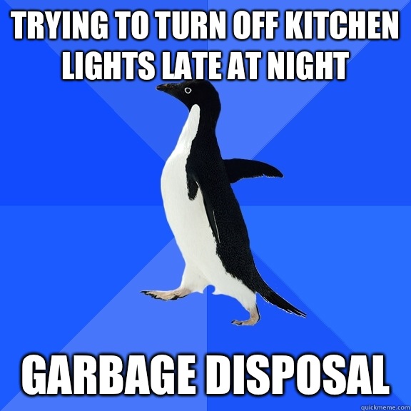 Trying to turn off kitchen lights late at night Garbage disposal  Socially Awkward Penguin