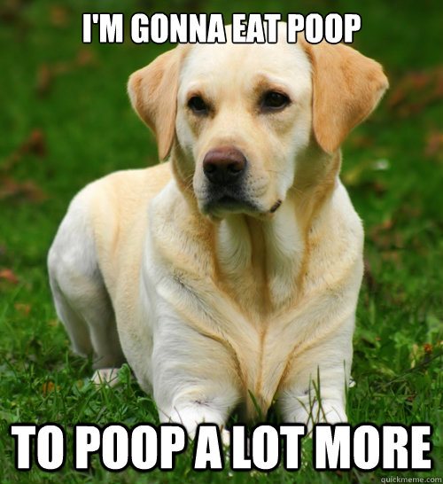 i'm gonna eat poop to poop a lot more  Dog Logic