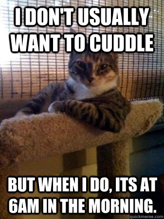 I don't usually want to cuddle but when I do, its at 6am in the morning.  The Most Interesting Cat in the World
