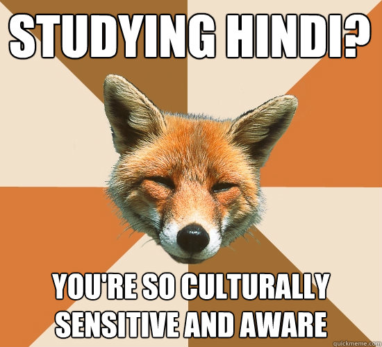 STUDYING HINDI? You're So Culturally Sensitive and aware  Condescending Fox