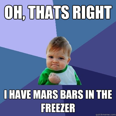 oh, thats right i have mars bars in the freezer  Success Kid