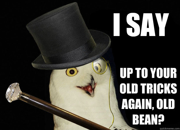 i say up to your old tricks again, old bean?  Owl Clever Ruse Old Bean