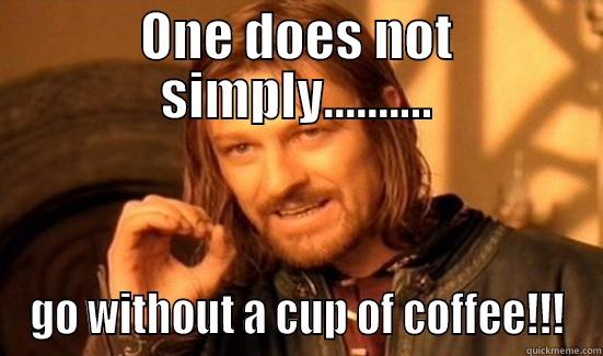 ONE DOES NOT SIMPLY.......... GO WITHOUT A CUP OF COFFEE!!! Boromir