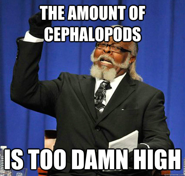 The amount of cephalopods  Is too damn high  Jimmy McMillan