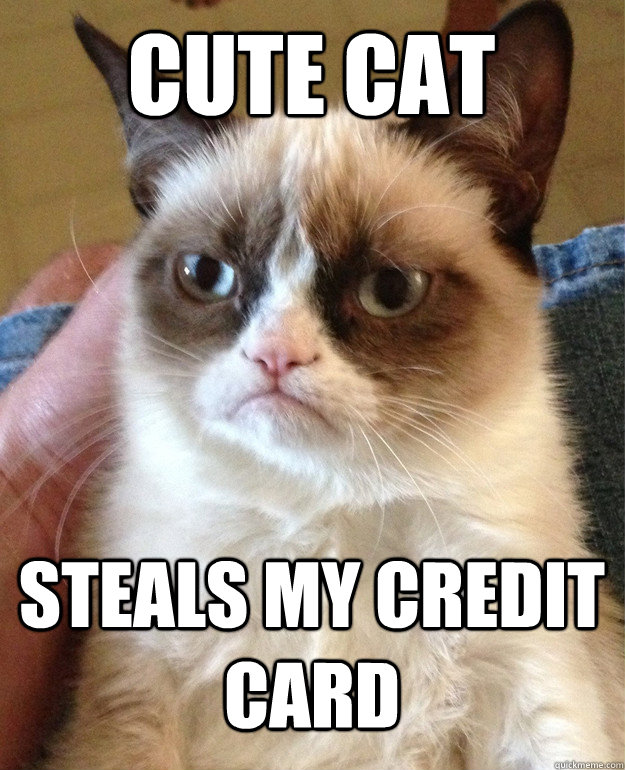 cute cat steals my credit card  Grumpy Cat