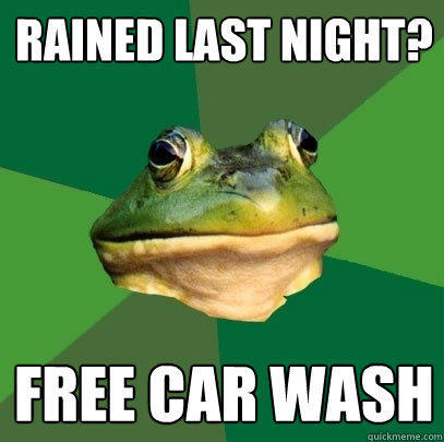 rained last night? free car wash - rained last night? free car wash  Foul Bachelor Frog