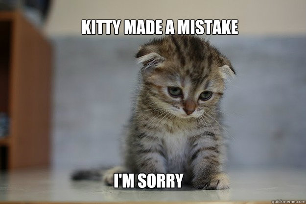 Kitty made a mistake I'm sorry - Kitty made a mistake I'm sorry  Sad Kitten