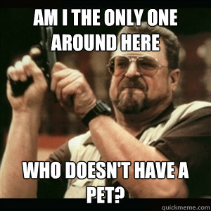 Am i the only one around here who doesn't have a pet?  Am I The Only One Round Here