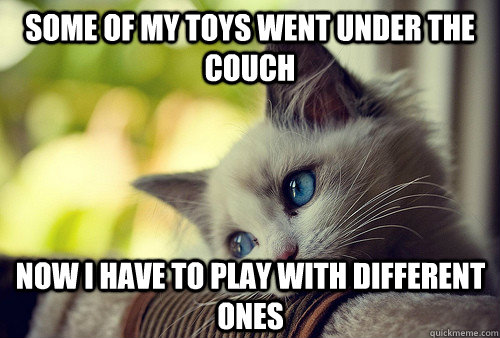 some of my toys went under the couch now i have to play with different ones  First World Cat Problems