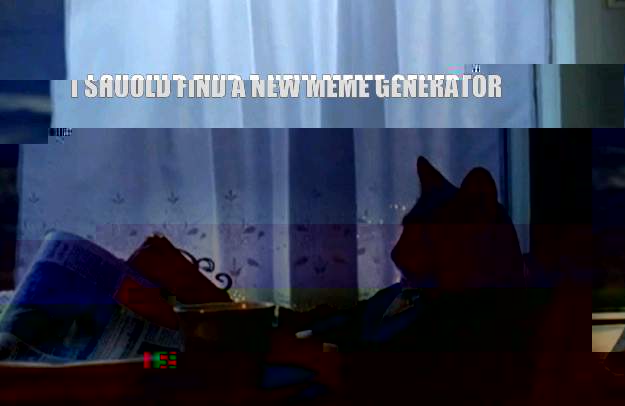 I should find a new meme generator  Sophisticated Cat