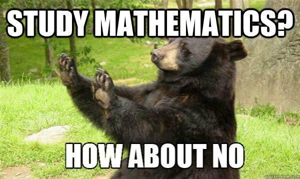 Study mathematics?   How about no bear