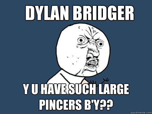 dylan bridger Y U have such large pincers b'y??  Y U No