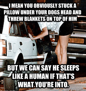 I mean you obviously stuck a pillow under your dogs head and threw blankets on top of him but we can say he sleeps like a human if that's what you're into. - I mean you obviously stuck a pillow under your dogs head and threw blankets on top of him but we can say he sleeps like a human if that's what you're into.  Karma Whore