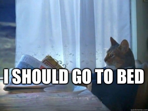  I should go to bed   morning realization newspaper cat meme