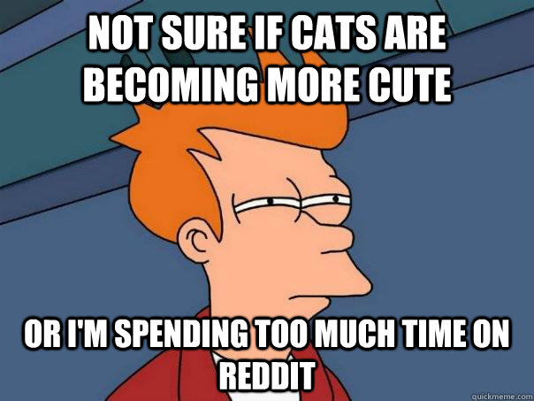 Not sure if cats are becoming more cute or i'm spending too much time on reddit  Futurama Fry