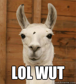  lol wut  Lol wut llama