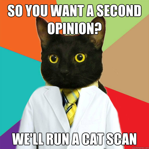 So you want a second opinion? we'll run a cat scan  Doctor Cat