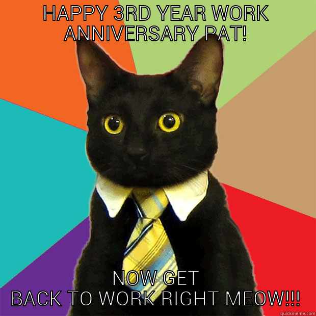 HAPPY 3RD YEAR WORK ANNIVERSARY PAT! NOW GET BACK TO WORK RIGHT MEOW!!! Business Cat