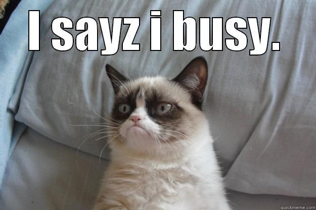 I SAYZ I BUSY.  Grumpy Cat