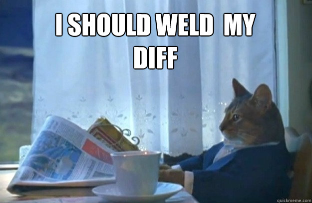I should weld  my diff   Sophisticated Cat