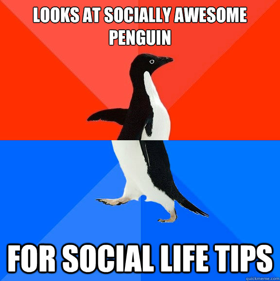 Looks at Socially Awesome penguin  For social life tips  Socially Awesome Awkward Penguin