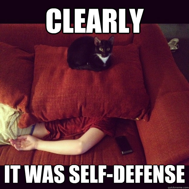 CLEARLY IT WAS SELF-DEFENSE  jealous cat