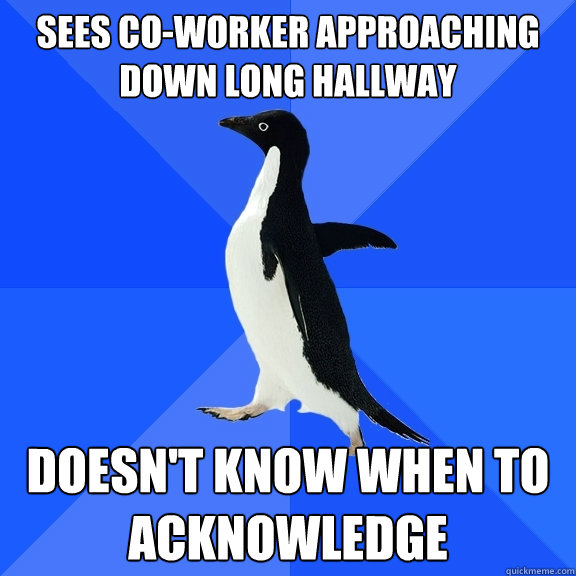 Sees co-worker approaching down long hallway doesn't know when to acknowledge   Socially Awkward Penguin
