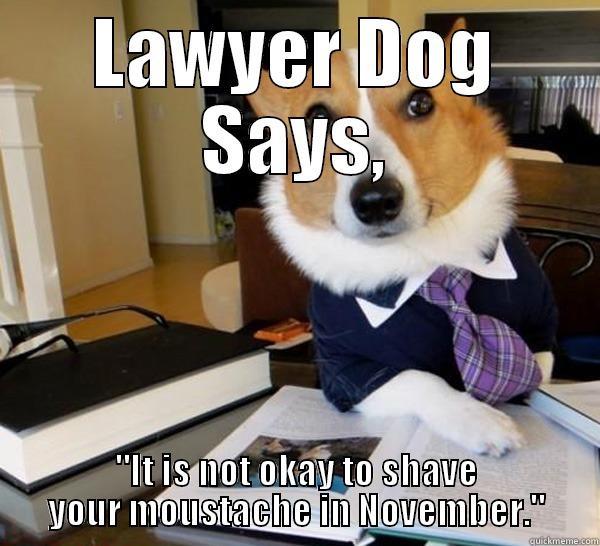 LAWYER DOG SAYS, 