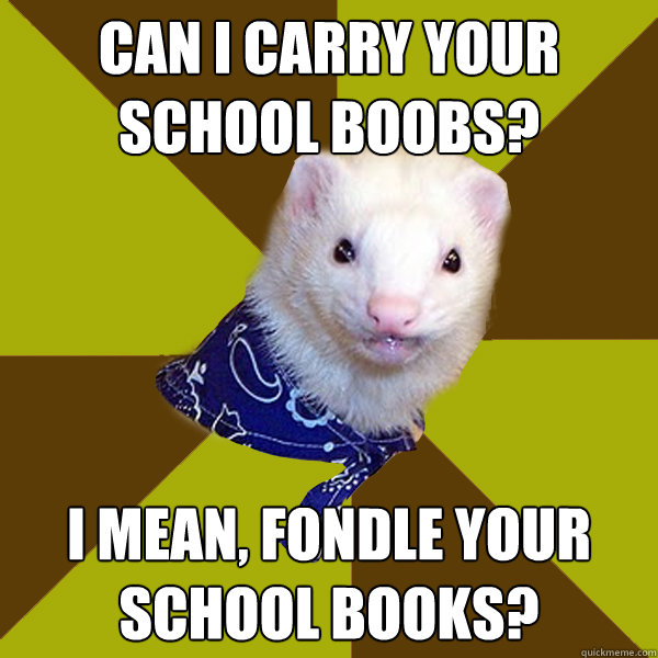 can I carry your school boobs? I mean, fondle your school books?  